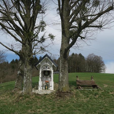 Dorrmuhle Villa Texing Buitenkant foto